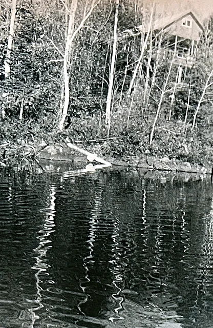 An early view, looking up from the lake.